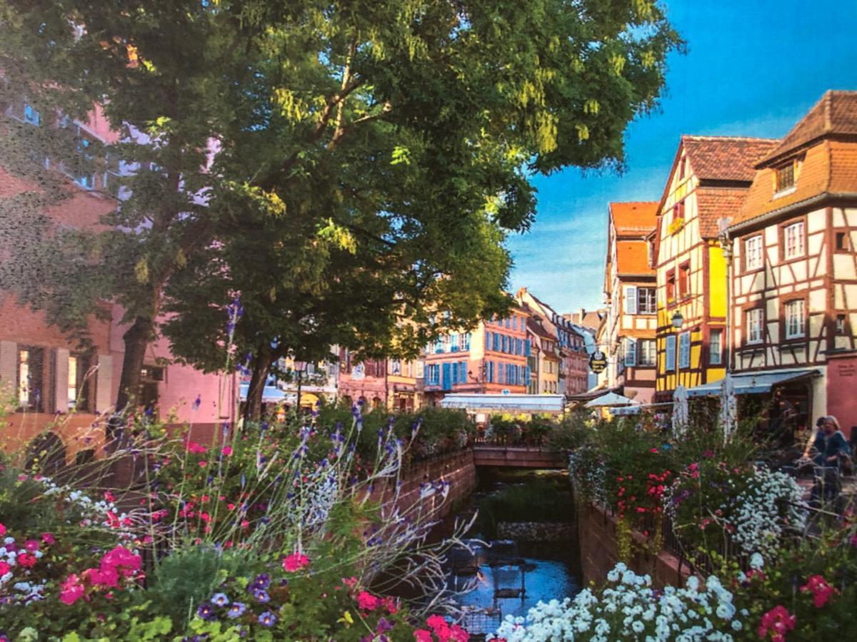 Gite De Charme Colmar Exterior foto